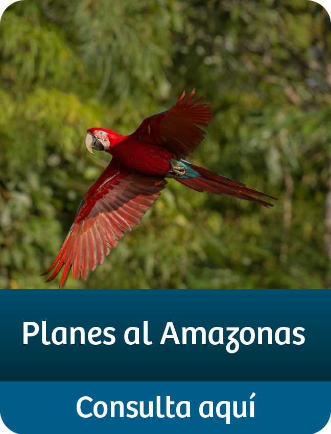 amazonas